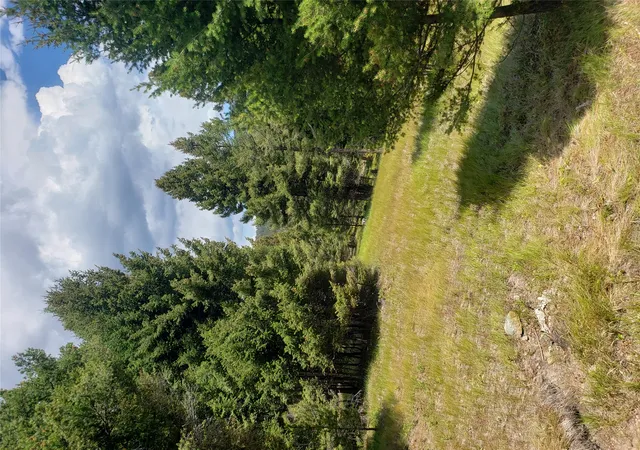 Photo 2 of Land for sale at 300 Hematite Rd, Helmville, MT 59843 | MLS# 30075581 | Listing updated on 2026-07-24