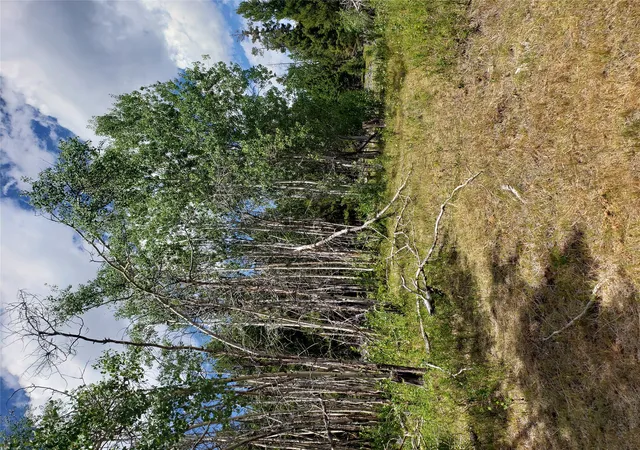 Photo 30 of Land for sale at 300 Hematite Rd, Helmville, MT 59843 | MLS# 30075581 | Listing updated on 2026-07-24
