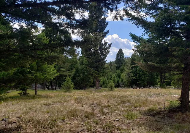 Photo 3 of Land for sale at 300 Hematite Rd, Helmville, MT 59843 | MLS# 30075581 | Listing updated on 2026-07-24