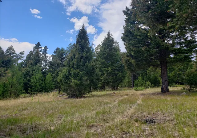 Photo 4 of Land for sale at 300 Hematite Rd, Helmville, MT 59843 | MLS# 30075581 | Listing updated on 2026-07-24