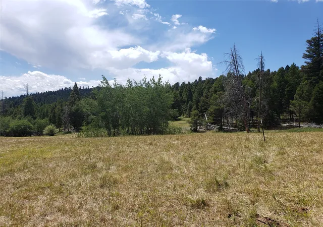 Photo 5 of Land for sale at 300 Hematite Rd, Helmville, MT 59843 | MLS# 30075581 | Listing updated on 2026-07-24