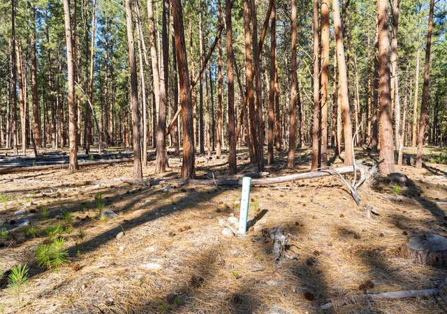 3rd image of Nhn Blair Ln, Victor, MT 59875 | MLS# 30075433