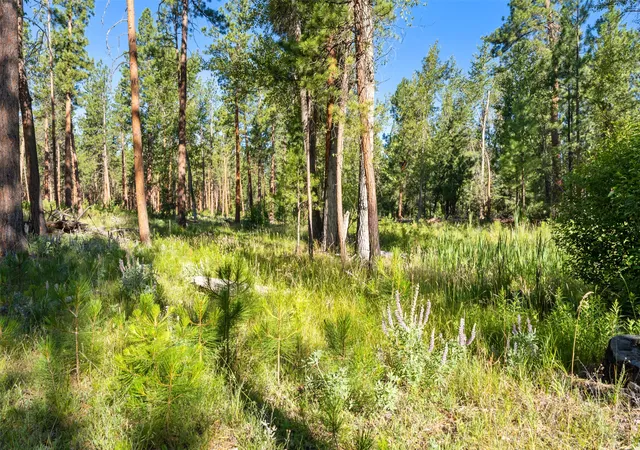4th image of Nhn Blair Ln, Victor, MT 59875 | MLS# 30075433