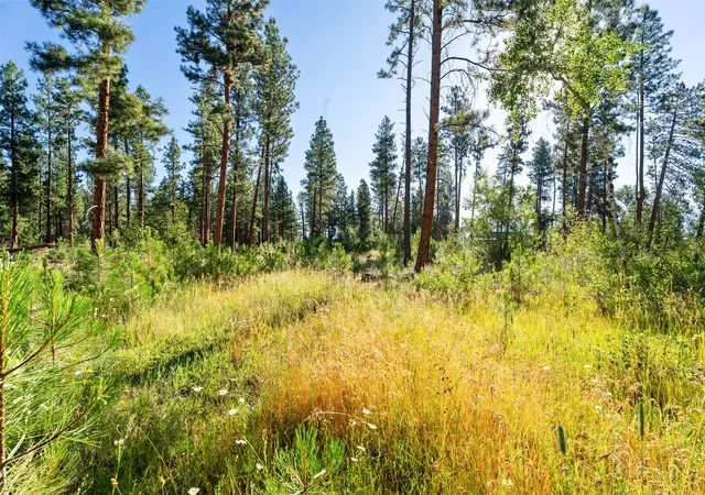 5th image of Nhn Blair Ln, Victor, MT 59875 | MLS# 30075433