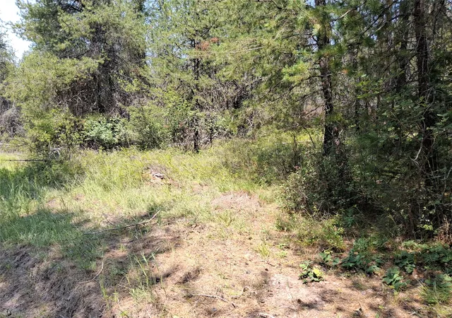 Photo 2 of Land for sale at Nhn Sharon Way, Saint Regis, MT 59866 | MLS# 30075630 | Listing updated on 2026-08-02