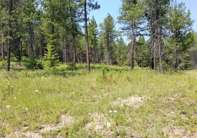 Photo 3 of Land for sale at Nhn Sharon Way, Saint Regis, MT 59866 | MLS# 30075630 | Listing updated on 2026-08-02