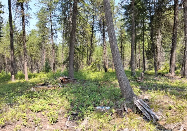 Photo 3 of Land for sale at Nhn Sharon Way, Saint Regis, MT 59866 | MLS# 30075630 | Listing updated on 2026-08-02
