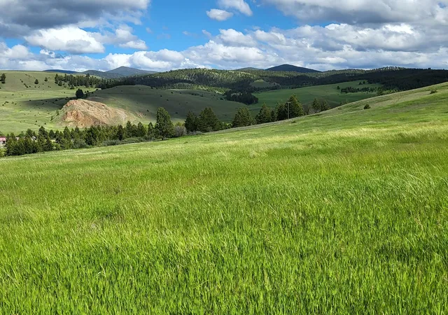 Photo 1 of Land for sale at 65 Gold Coin Rd, Hall, MT 59837 | MLS# 30075641 | Listing updated on 2026-07-27