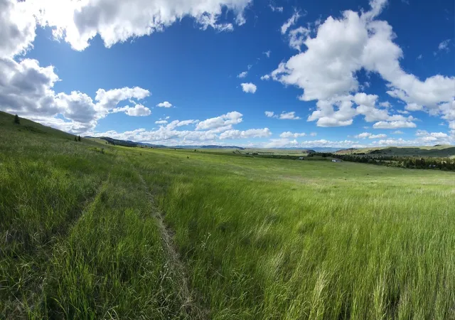 Photo 2 of Land for sale at 65 Gold Coin Rd, Hall, MT 59837 | MLS# 30075641 | Listing updated on 2026-07-27