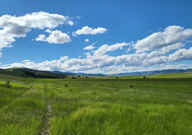 Photo 4 of Land for sale at 65 Gold Coin Rd, Hall, MT 59837 | MLS# 30075641 | Listing updated on 2026-07-27