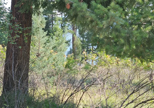 Photo 2 of Land for sale at Nhn Westside Dr, Polson, MT 59860 | MLS# 30075712 | Listing updated on 2026-07-29