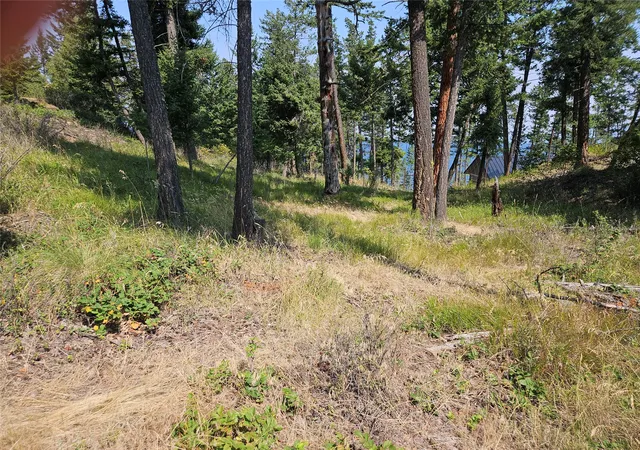 Photo 3 of Land for sale at Nhn Westside Dr, Polson, MT 59860 | MLS# 30075712 | Listing updated on 2026-07-29