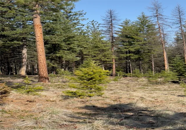 21st image of Tbd Kootenai Echo Trl, Rexford, MT 59930 | MLS# 30075726