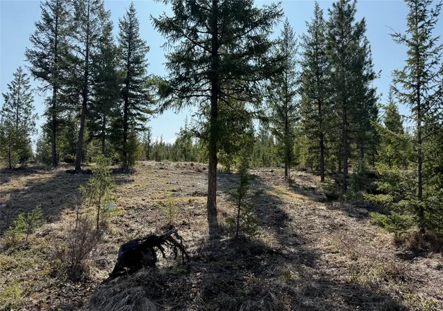 2nd image of Tbd Kootenai Echo Trl, Rexford, MT 59930 | MLS# 30075726