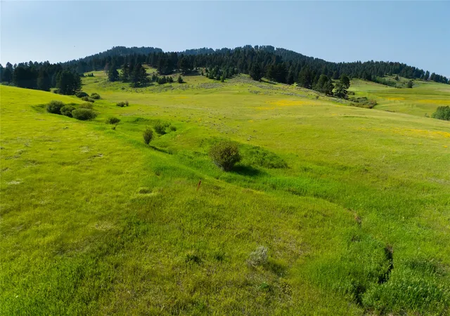 1st image of Lot 6 Jackson Creek Road, Bozeman, MT 59715 | MLS# 30075745