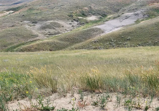 Photo 5 of Land for sale at Tbd Banjo Hl Ln, Great Falls, MT 59404 | MLS# 30073678 | Listing updated on 2026-07-28