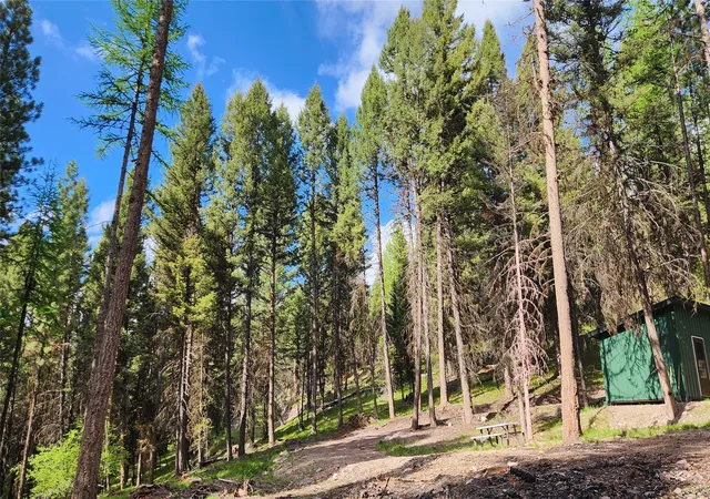 1st image of 383 Stagecoach Dr, Seeley Lake, MT 59868 | MLS# 30075733