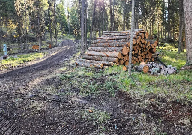 4th image of 383 Stagecoach Dr, Seeley Lake, MT 59868 | MLS# 30075733