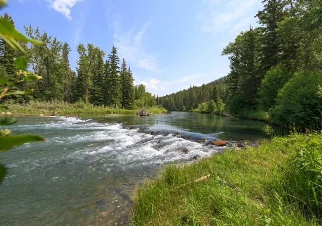 3rd image of 499 Mcdonald Rd, Helmville, MT 59843 | MLS# 30075304