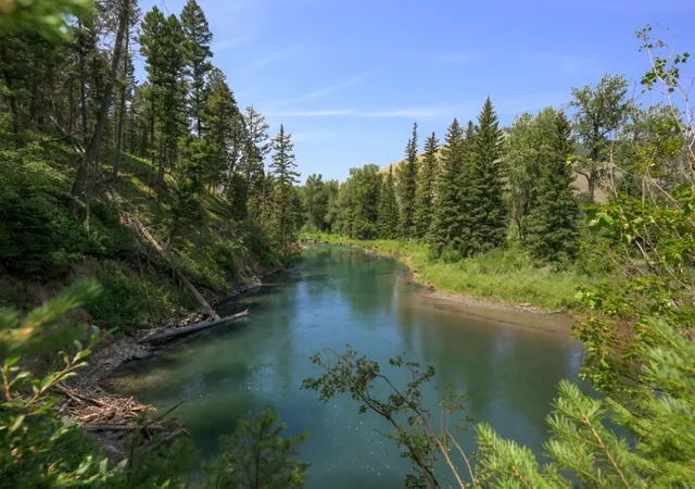 4th image of 499 Mcdonald Rd, Helmville, MT 59843 | MLS# 30075304