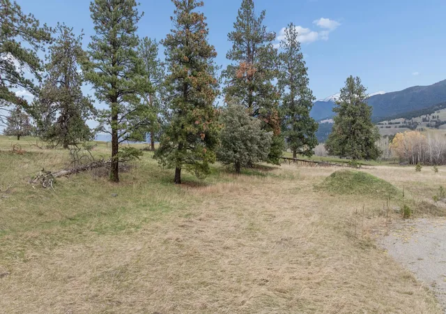 2nd image of 39 Sophie Creek Ln, Eureka, MT 59917 | MLS# 30075826