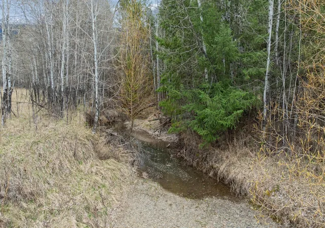 1st image of 15 Sophie Creek, Eureka, MT 59917 | MLS# 30075828