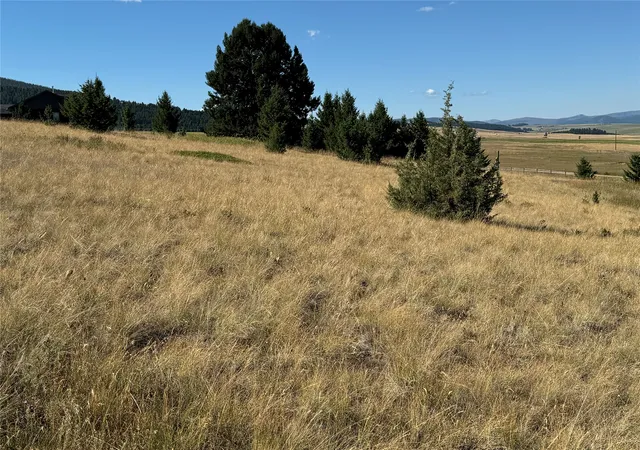 4th image of Nhn Handlos Ln, Philipsburg, MT 59858 | MLS# 30075846
