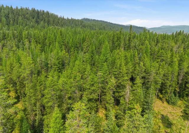 17th image of 4638 N Fork Rd, Columbia Falls, MT 59912 | MLS# 30075127