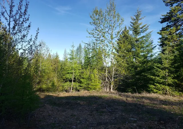 5th image of Tract 2 Nine Mile Rd, Huson, MT 59846 | MLS# 30075893