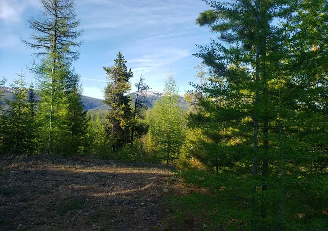6th image of Tract 2 Nine Mile Rd, Huson, MT 59846 | MLS# 30075893