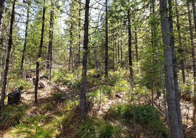 2nd image of Tract 4 Nine Mile Rd, Huson, MT 59846 | MLS# 30075898