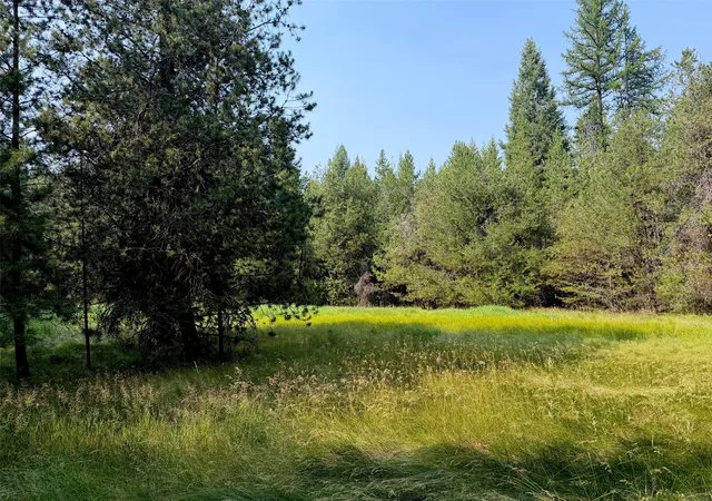 1st image of 950 Lodgepole Dr, Marion, MT 59925 | MLS# 30075949