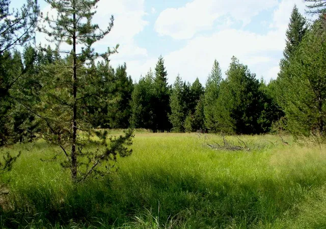2nd image of 950 Lodgepole Dr, Marion, MT 59925 | MLS# 30075949