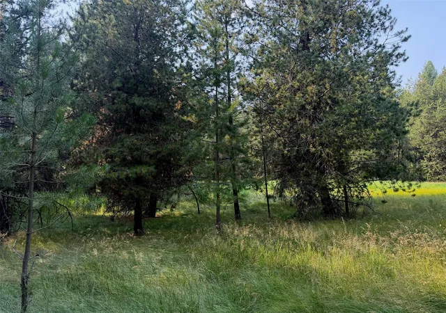 4th image of 950 Lodgepole Dr, Marion, MT 59925 | MLS# 30075949