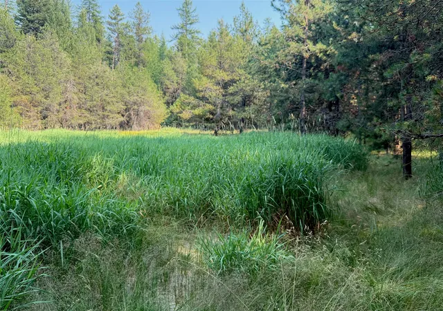5th image of 950 Lodgepole Dr, Marion, MT 59925 | MLS# 30075949