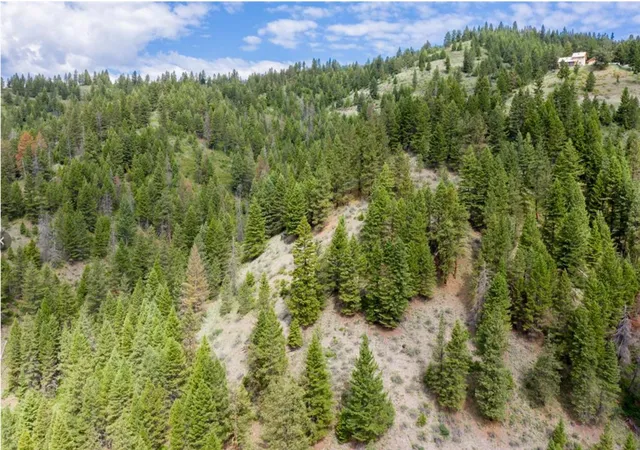 3rd image of Nhn Bear Run Creek Rd, Missoula, MT 59803 | MLS# 30075769