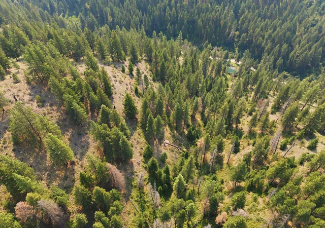 5th image of Nhn Bear Run Creek Rd, Missoula, MT 59803 | MLS# 30075769