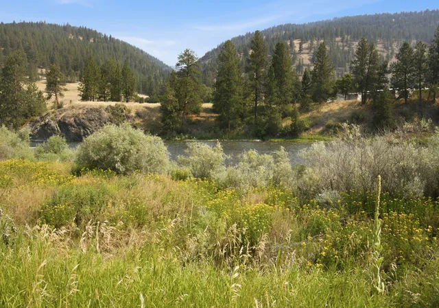 28th image of 1164 Bandmann Trl, Missoula, MT 59802 | MLS# 30075877