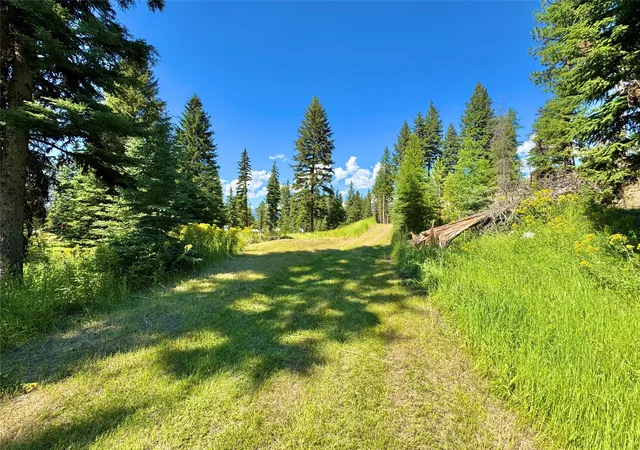Photo 2 of Land for sale at 890 Montana Dr, Seeley Lake, MT 59868 | MLS# 30075060 | Listing updated on 2026-08-01