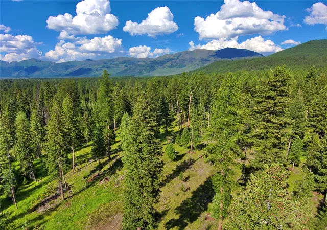 48th image of 890 Montana Dr, Seeley Lake, MT 59868 | MLS# 30075060