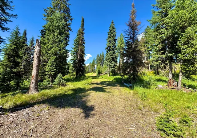 Photo 3 of Land for sale at 890 Montana Dr, Seeley Lake, MT 59868 | MLS# 30075060 | Listing updated on 2026-08-01