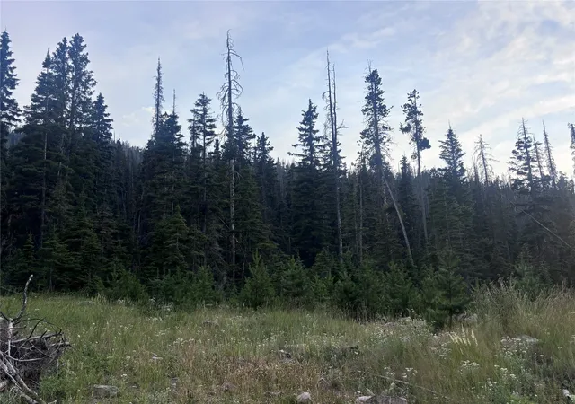 1st image of Nhm Rimini Rd, Helena, MT 59601 | MLS# 30075355