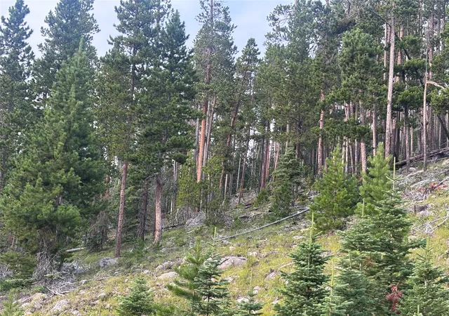 Photo 3 of Land for sale at Nhm Rimini Rd, Helena, MT 59601 | MLS# 30075355 | Listing updated on 2026-08-01