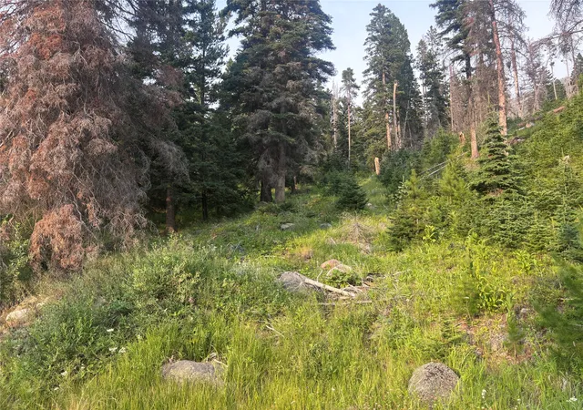 4th image of Nhm Rimini Rd, Helena, MT 59601 | MLS# 30075355