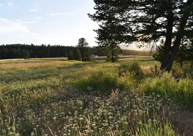 Photo 2 of Land for sale at 245 Shepherd Trl, Kalispell, MT 59901 | MLS# 30076020 | Listing updated on 2026-09-01