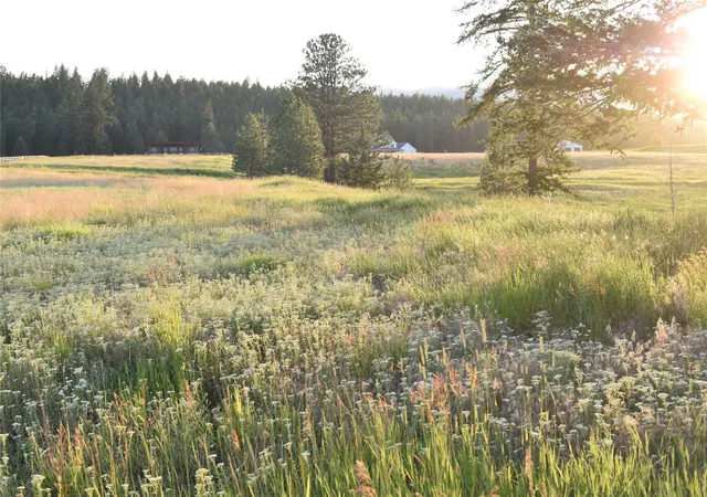 Photo 3 of Land for sale at 245 Shepherd Trl, Kalispell, MT 59901 | MLS# 30076020 | Listing updated on 2026-09-01