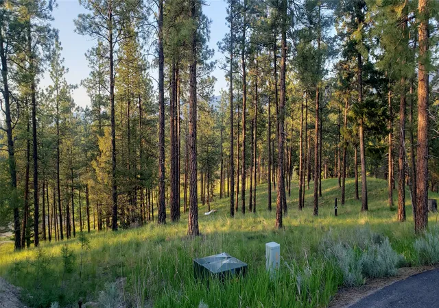 4th image of 215 Sundance Ct, Eureka, MT 59917 | MLS# 30075971