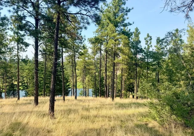 5th image of 215 Sundance Ct, Eureka, MT 59917 | MLS# 30075971