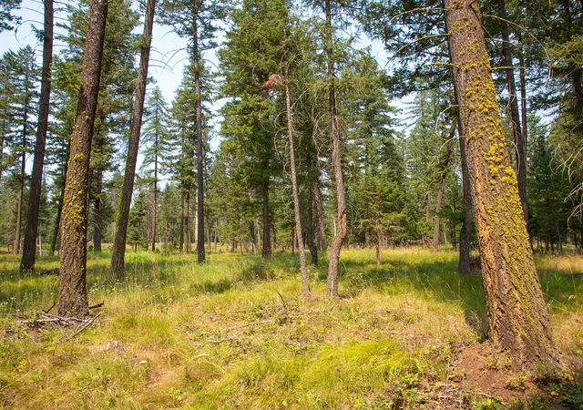 Photo 1 of Land for sale at 415 Bowdish Rd, Kalispell, MT 59901 | MLS# 30076029 | Listing updated on 2026-07-31