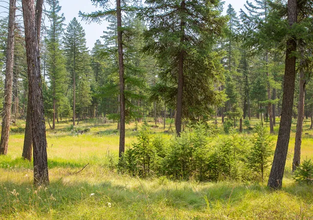 Photo 2 of Land for sale at 415 Bowdish Rd, Kalispell, MT 59901 | MLS# 30076029 | Listing updated on 2026-07-31